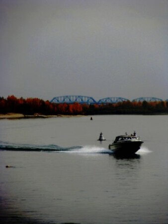 осенняя волна