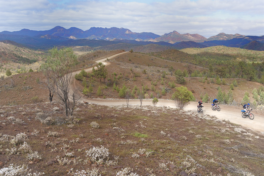 Flinders Ranges 