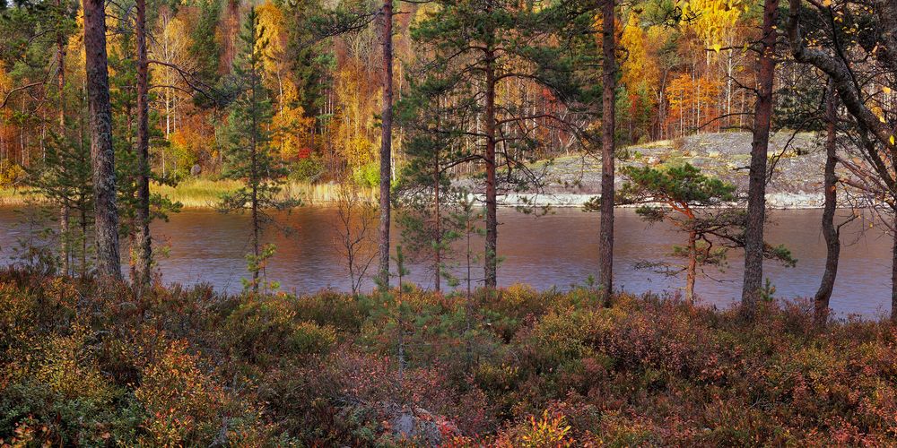 Золотая осень в Карелии