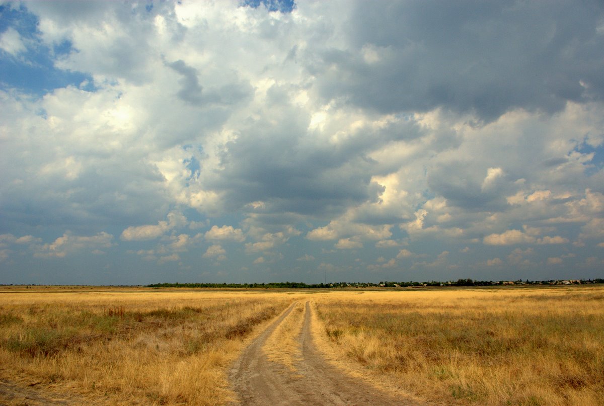 Запорожская степь