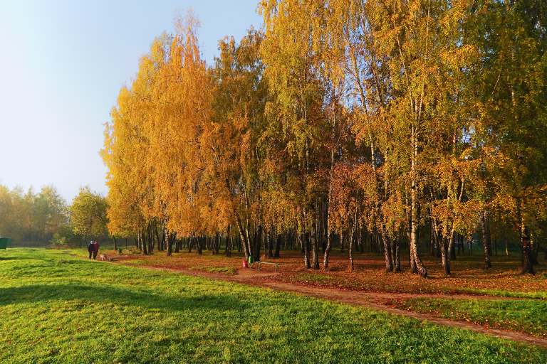 Пехорка. Прогулка.