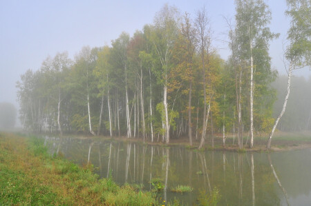 Тишина