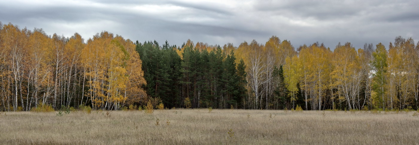 осенний цвет