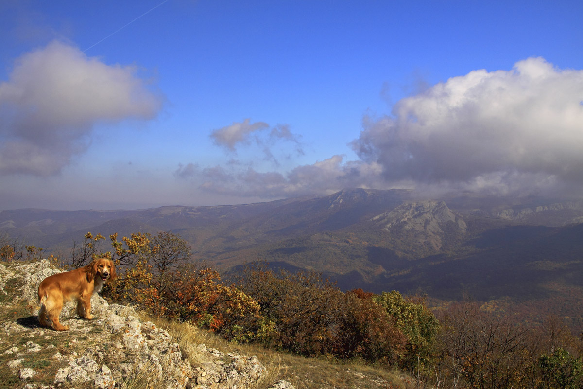 Ангарская долина, осень