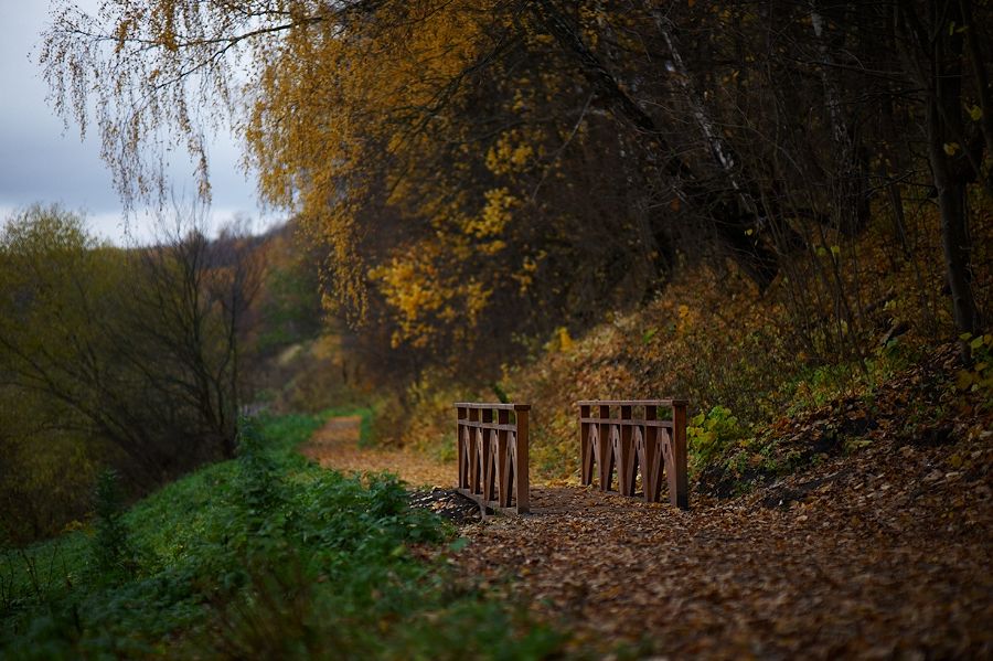 Про мост без людей карточка