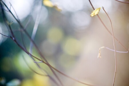 Осенние мотивы