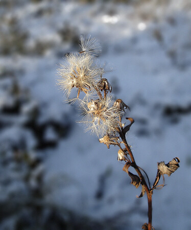 Так ушло лето