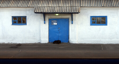 бело-голубая