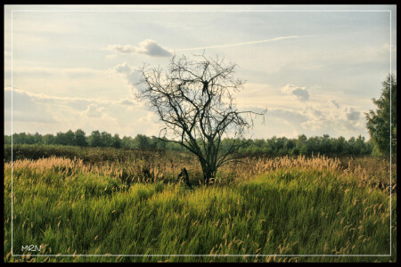 на краю оврага