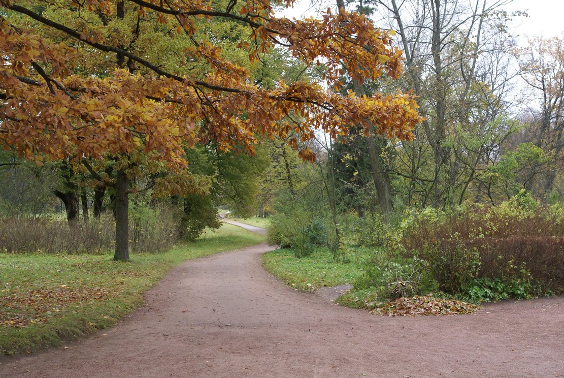 Павловский парк