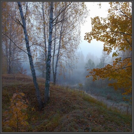 Холодное утро