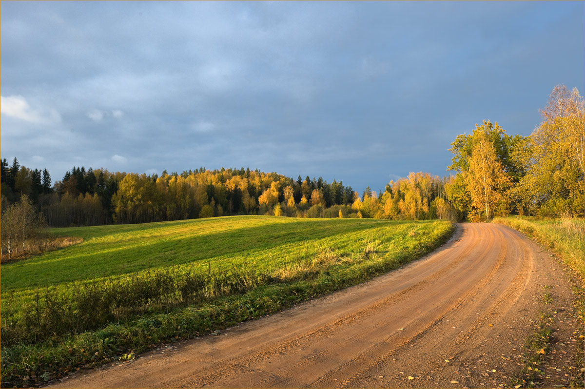 Дорога в осень 1