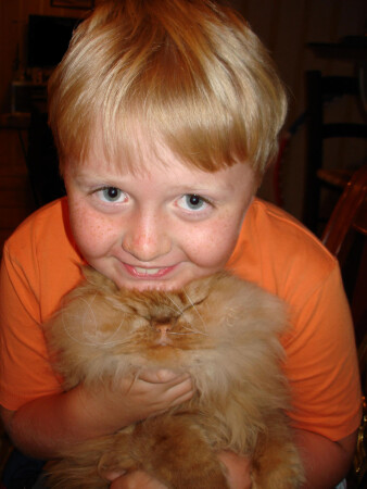 Два &amp;quot;рыжика&amp;quot;