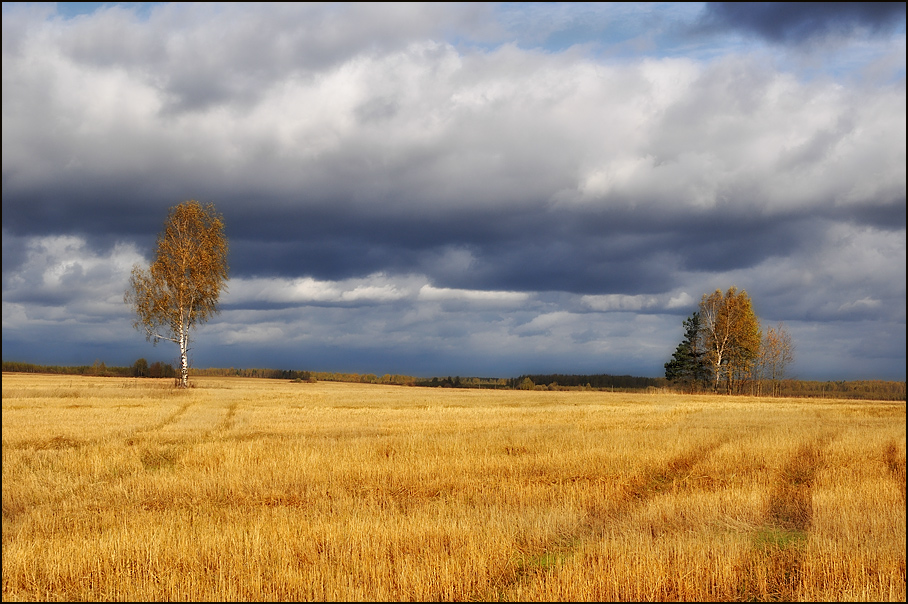 Краски осенних полей