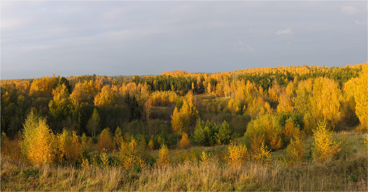 Осенняя панорама