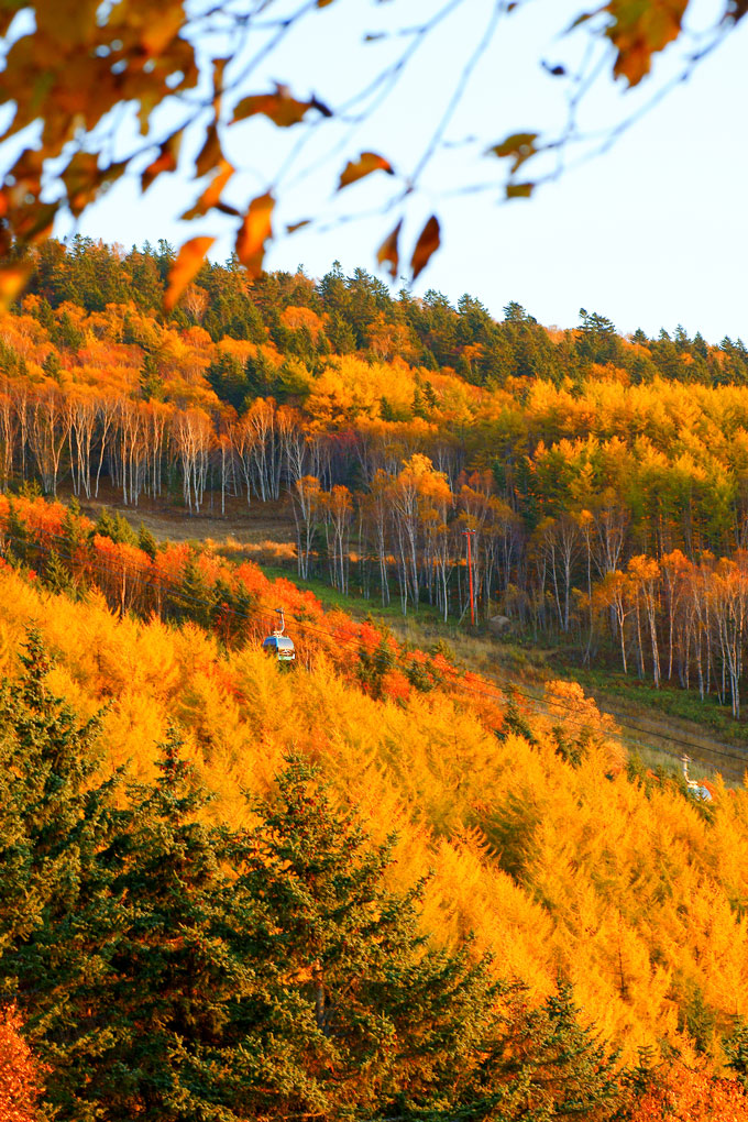 Краски осени