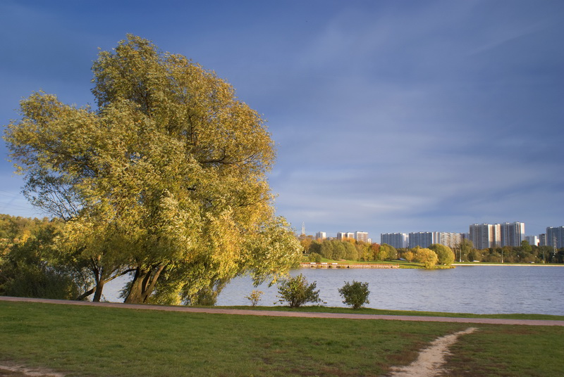 Городская осень