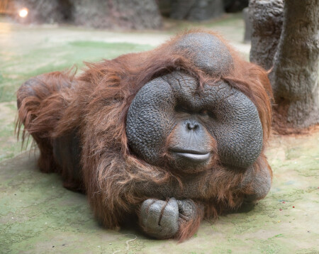 Антикризис