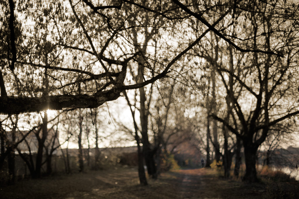 Autumn Man