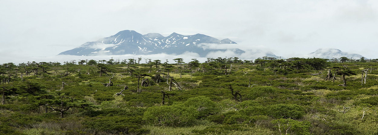 Курилы