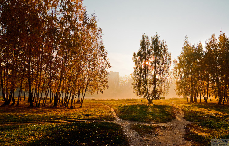 Пехорка. Солнечный свет