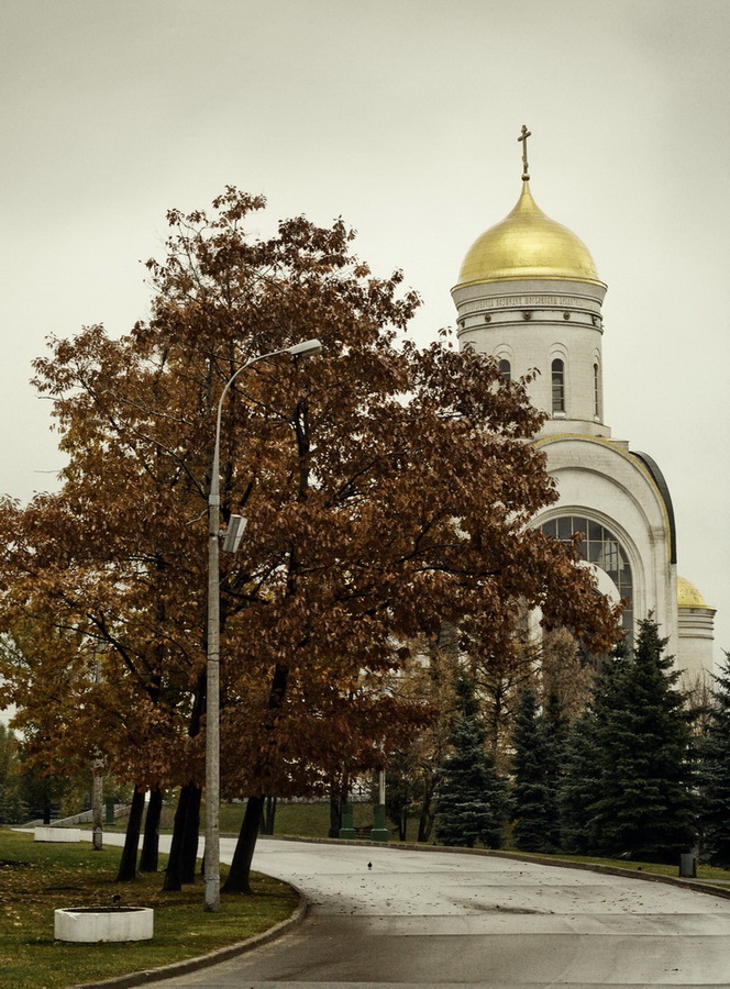 серая осень