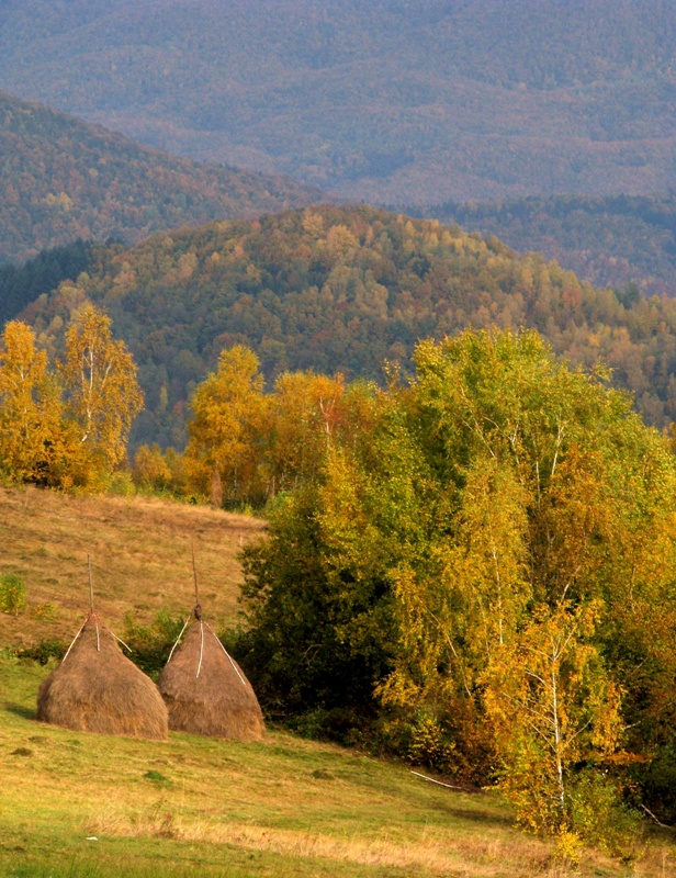 Карпаты,любовь моя...Осень...