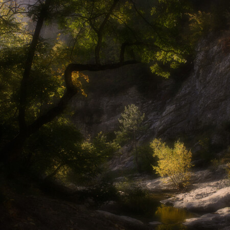 october forest mistery