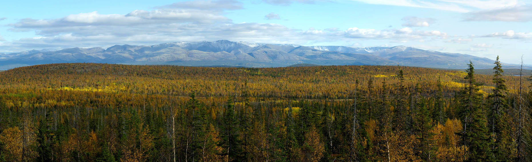 Осенняя панорамма