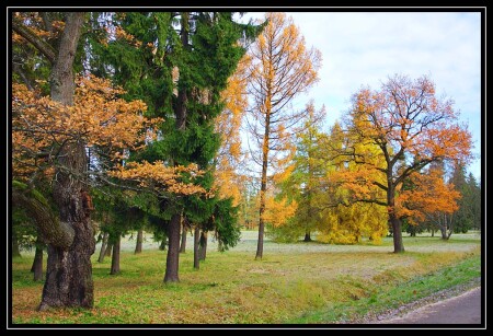 Парк Кадриорг