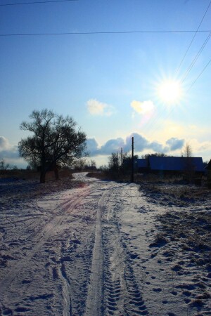 Морозный день
