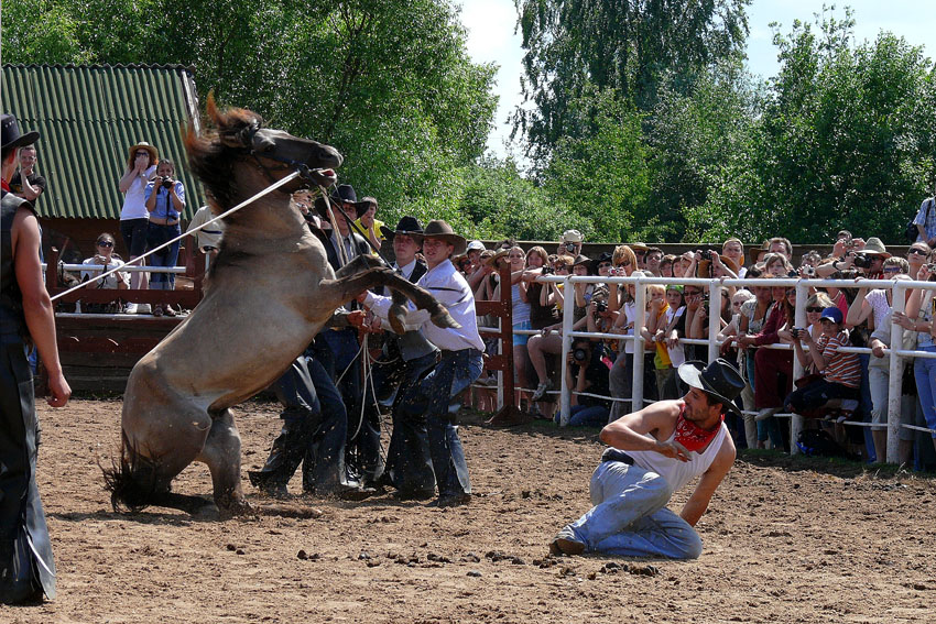 Укрощение коня.