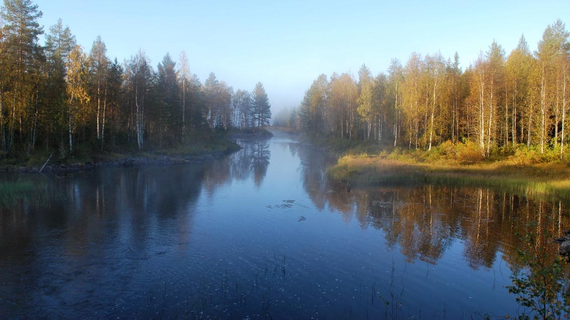 солнечно и туманно