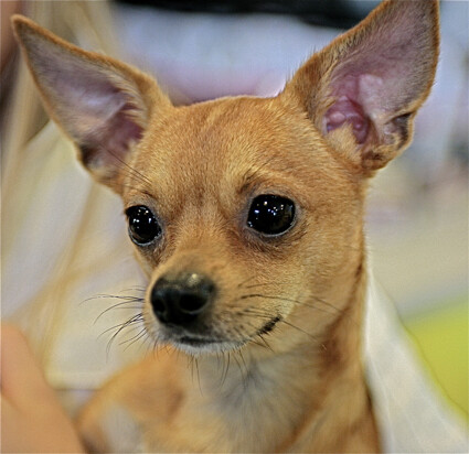 &amp;quot;Они тоже смотрят на нас&amp;quot;