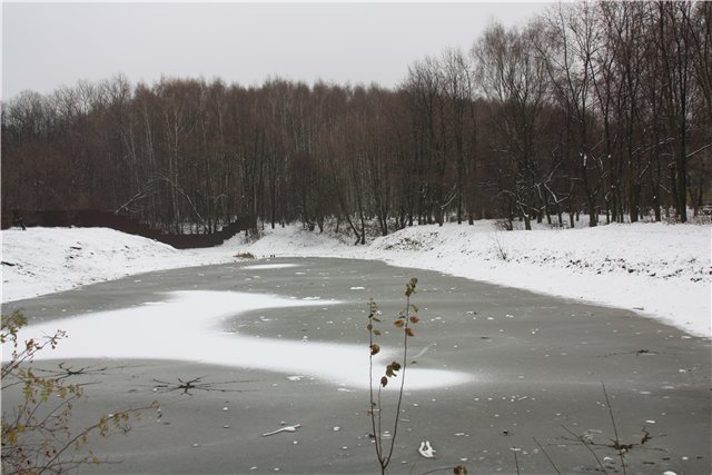 дендропарк заснул