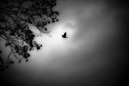 Возвращение