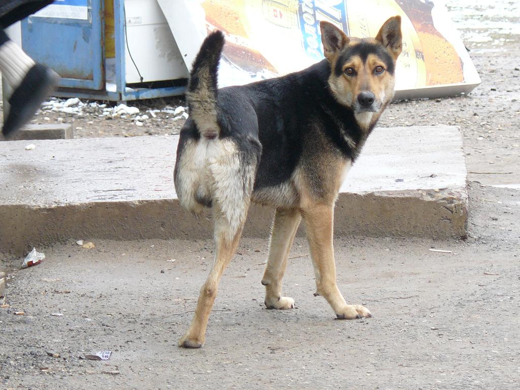 Эй...нога-то ушла!