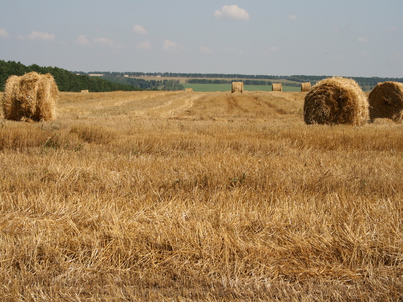 Жаркое лето