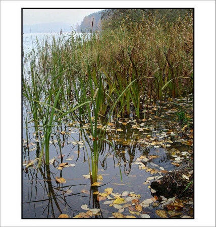 белорусская осень 