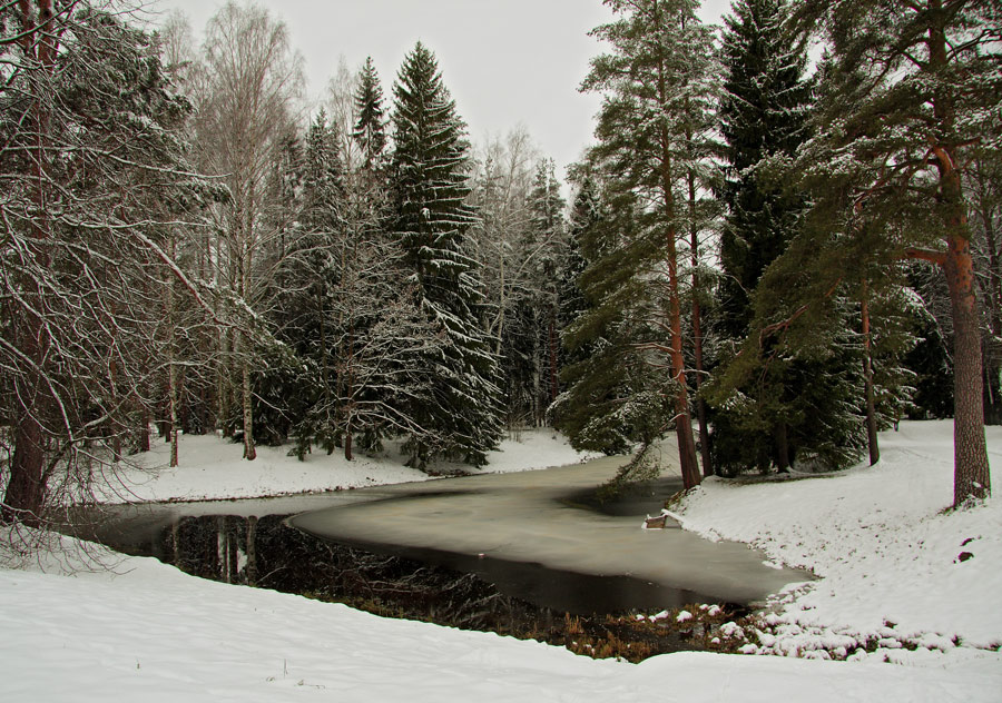 утро в лесу