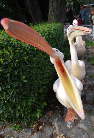 Я тебя съем! =)