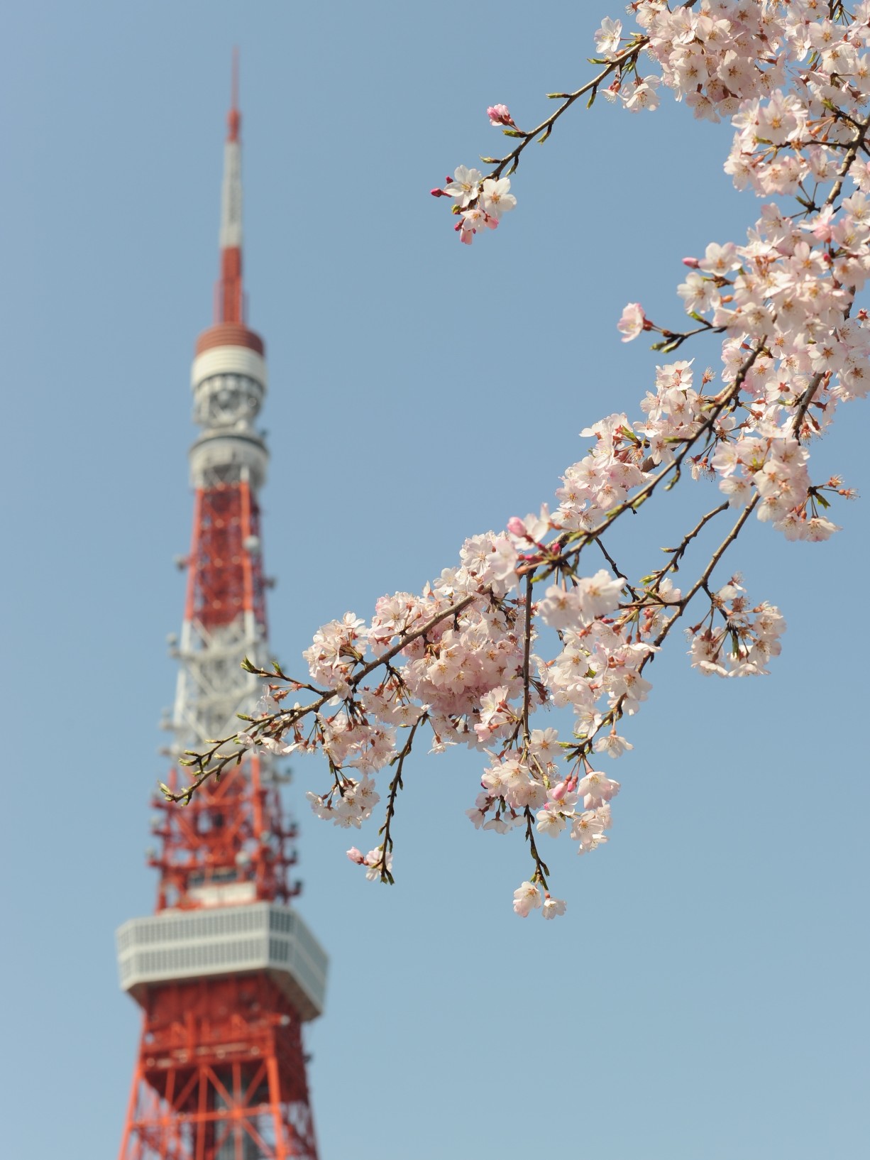 Tokyo tower