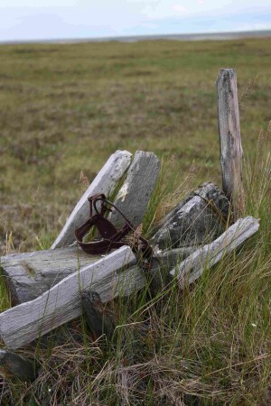 Забытый промысел