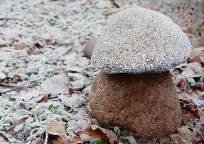 ice stone mushroom