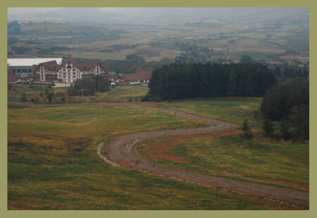 Куда ты дорога...