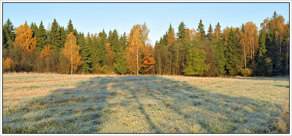 Осеннее утро (Последние краски)