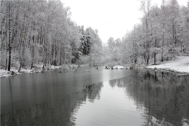 загадка