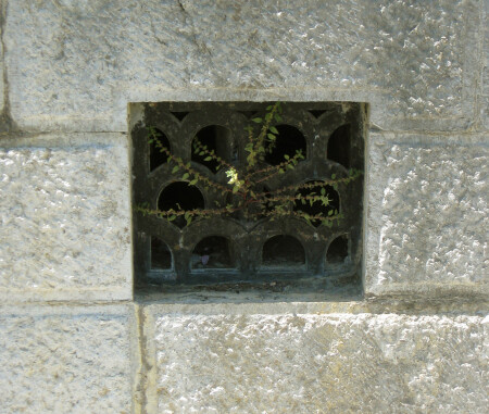 Тянитесь к солнцу