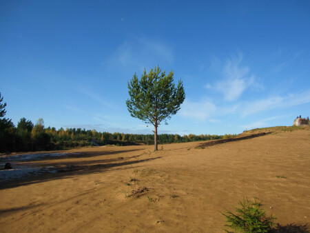 Один в поле воин?