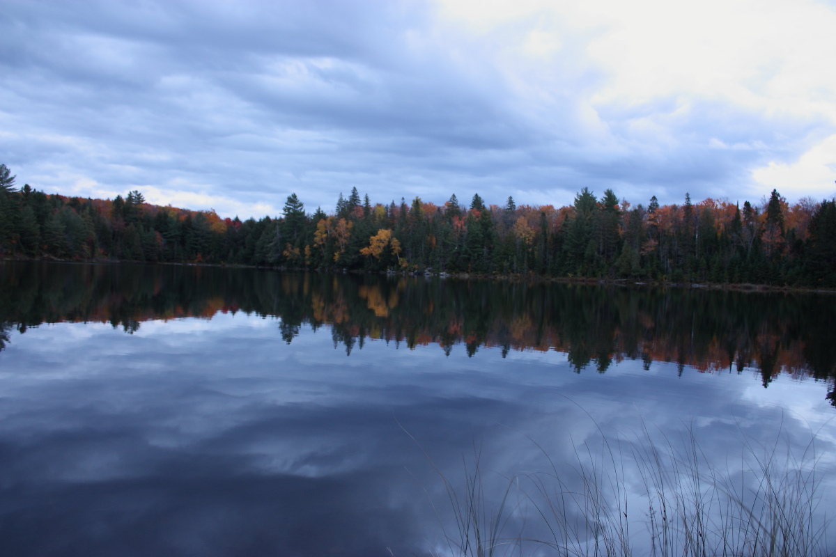 Algonquin Provincial Park 